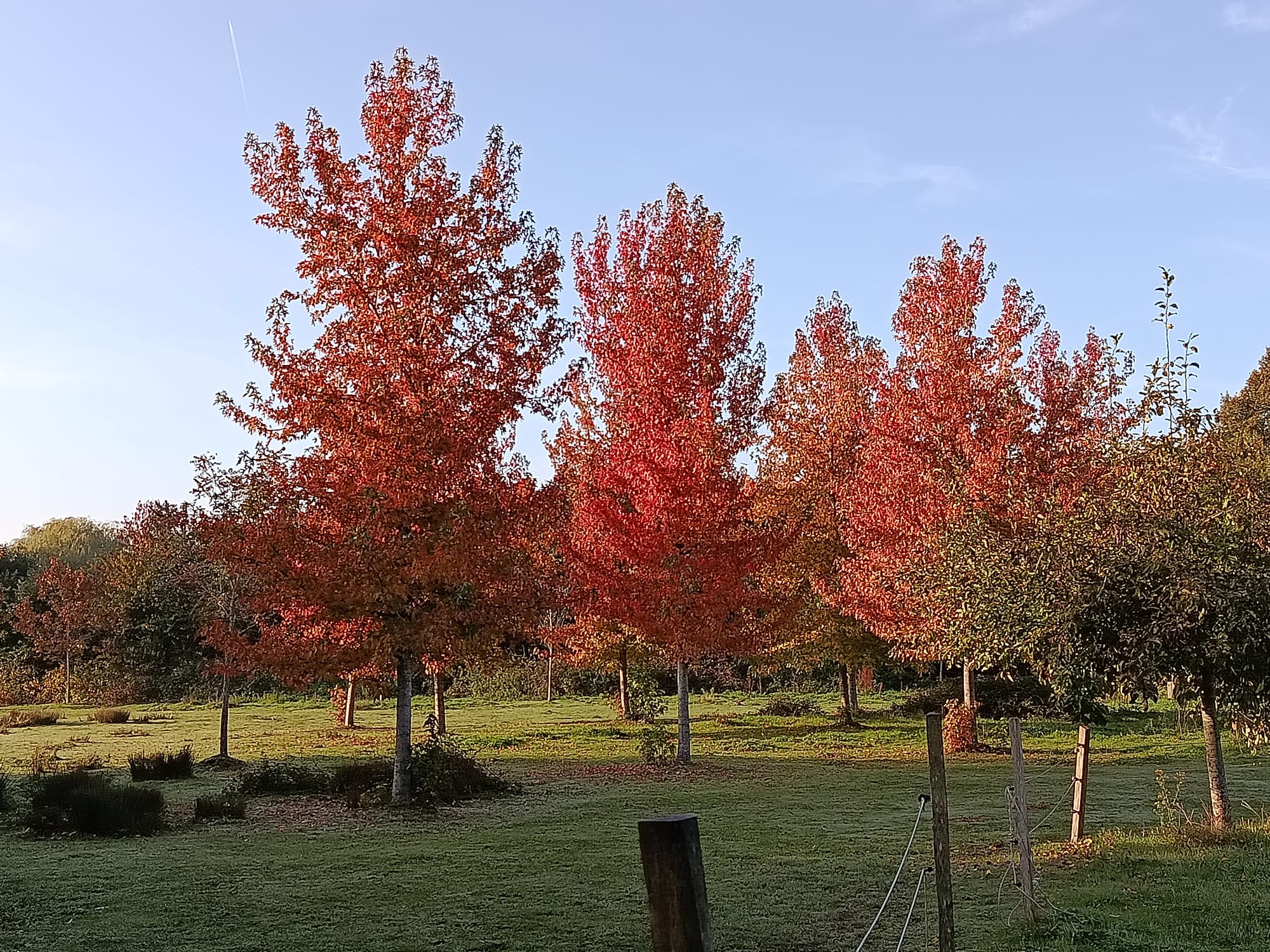 Balade en automne