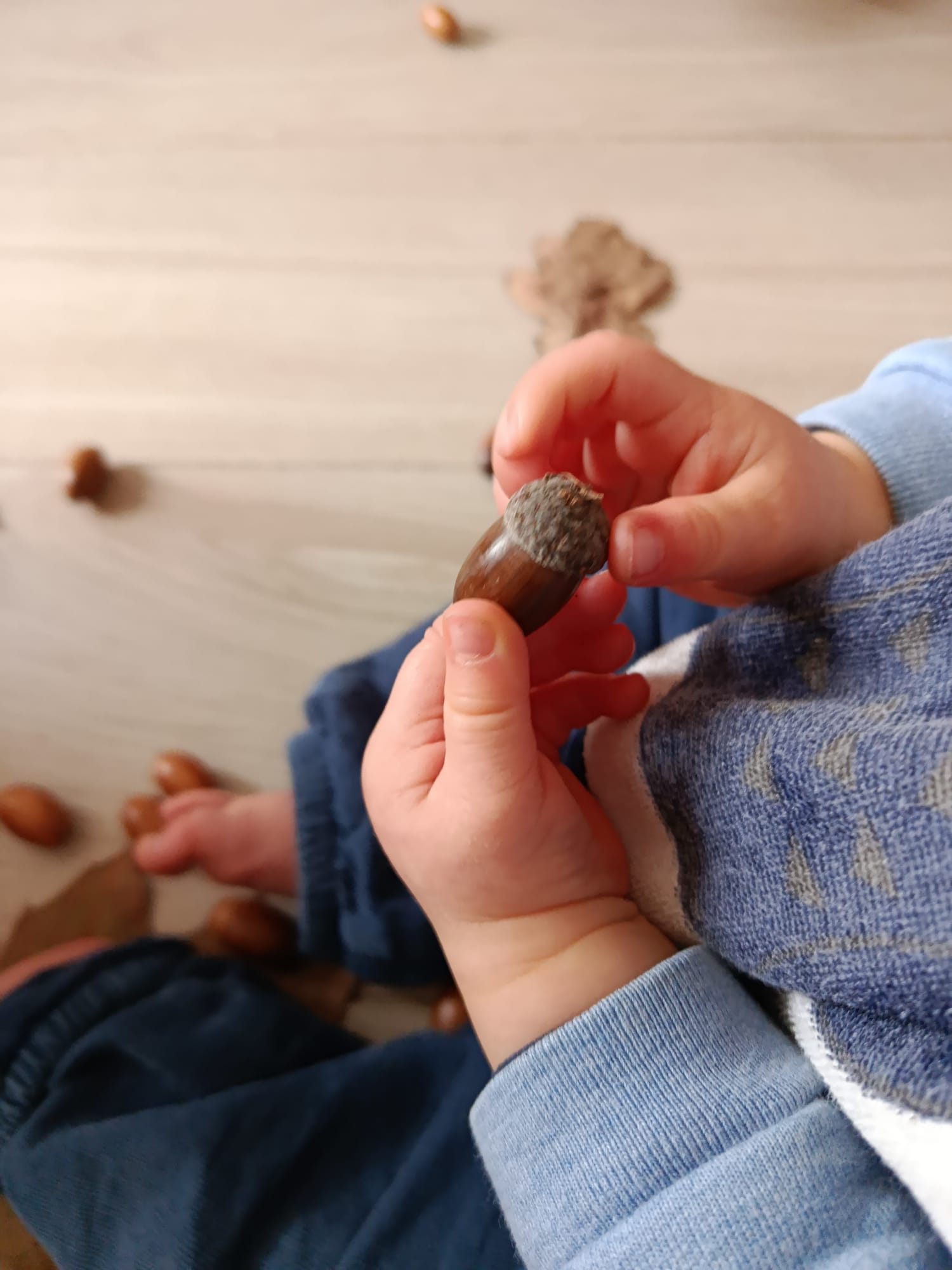 Exploration nature : bâtons