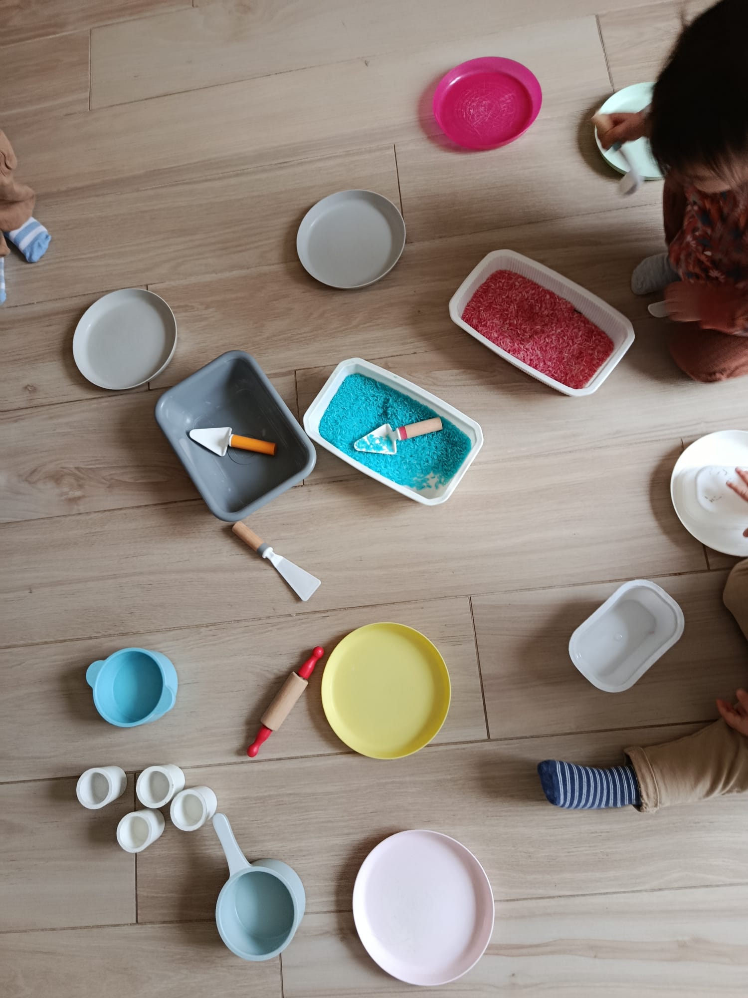 Découverte nature : gland en main