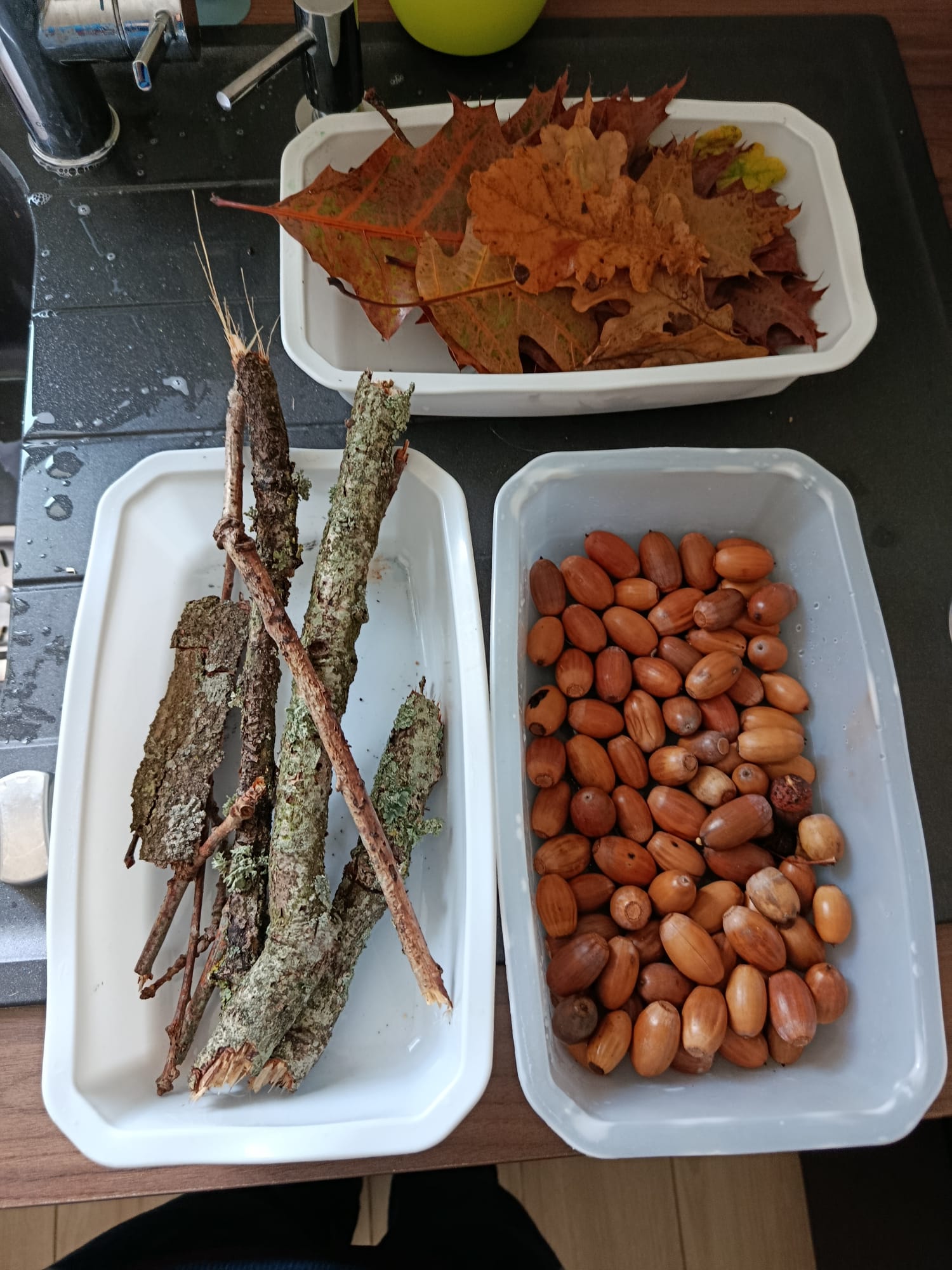 Récolte d’automne